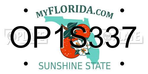 OP1S337 Florida License Plate