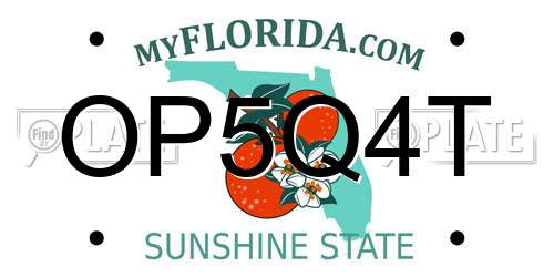 OP5Q4T Florida License Plate