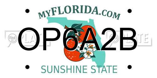 OP6A2B Florida License Plate