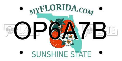 OP6A7B Florida License Plate
