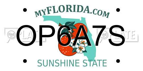 OP6A7S Florida License Plate