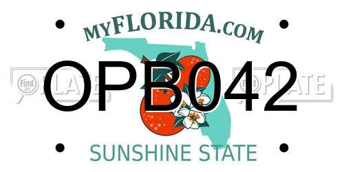OPB042 Florida License Plate