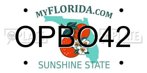 OPBO42 Florida License Plate