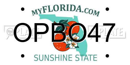 OPBO47 Florida License Plate