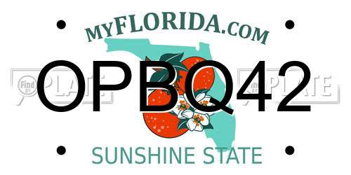 OPBQ42 Florida License Plate