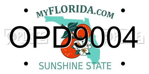 OPD9004 Florida License Plate