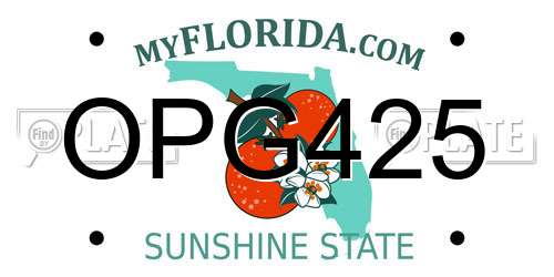 OPG425 Florida License Plate
