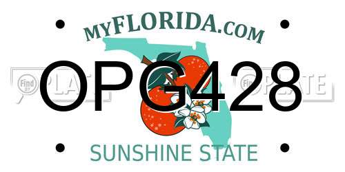 OPG428 Florida License Plate