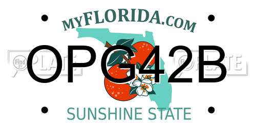 OPG42B Florida License Plate