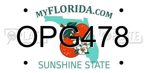 OPG478 Florida License Plate