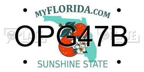 OPG47B Florida License Plate