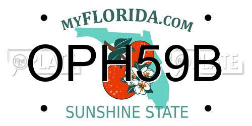 OPH59B Florida License Plate