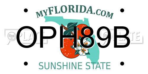 OPH89B Florida License Plate