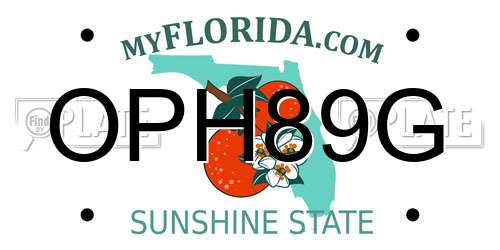 OPH89G Florida License Plate