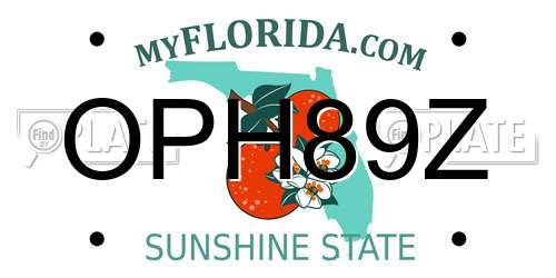 OPH89Z Florida License Plate