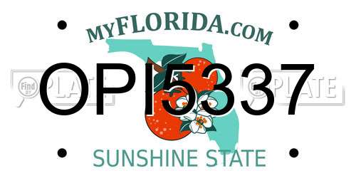 OPI5337 Florida License Plate