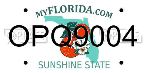 OPQ9004 Florida License Plate