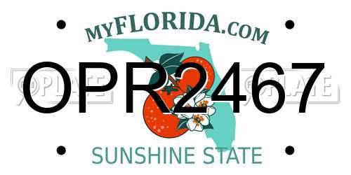 OPR2467 Florida License Plate