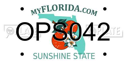 OPS042 Florida License Plate