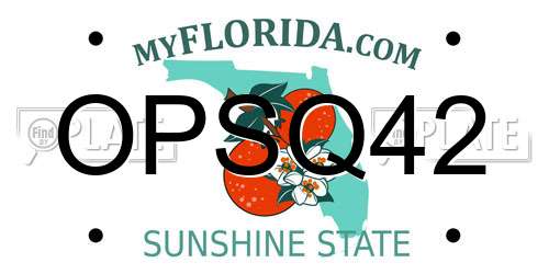 OPSQ42 Florida License Plate