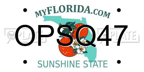 OPSQ47 Florida License Plate