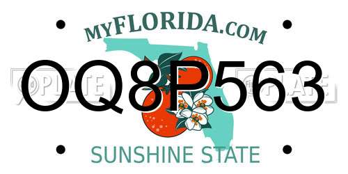 OQ8P563 Florida License Plate