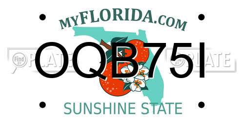 OQB75I Florida License Plate