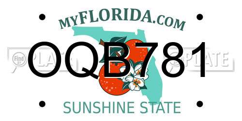 OQB781 Florida License Plate