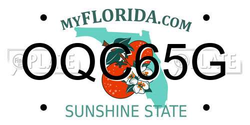 OQC65G Florida License Plate