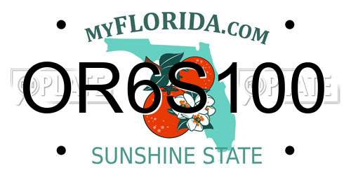 OR6S100 Florida License Plate