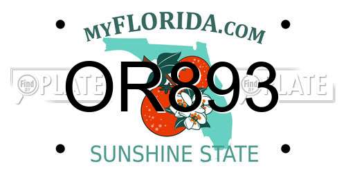 OR893 Florida License Plate
