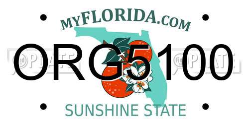 ORG5100 Florida License Plate