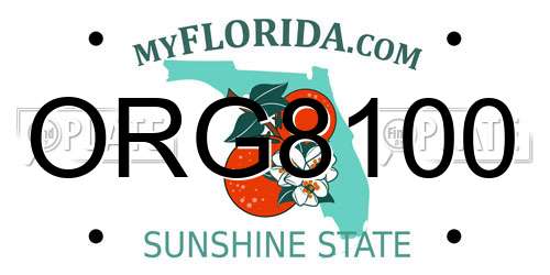 ORG8100 Florida License Plate