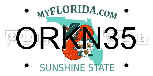 ORKN35 Florida License Plate