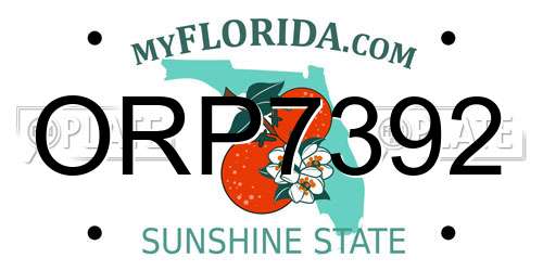 ORP7392 Florida License Plate