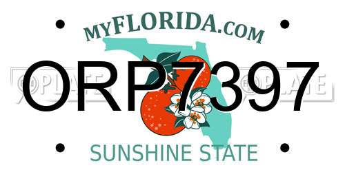 ORP7397 Florida License Plate