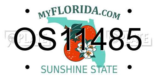 OS11485 Florida License Plate