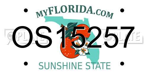 OS15257 Florida License Plate