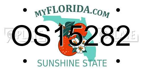 OS15282 Florida License Plate
