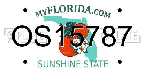 OS15787 Florida License Plate