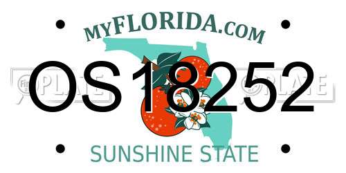 OS18252 Florida License Plate