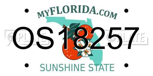 OS18257 Florida License Plate