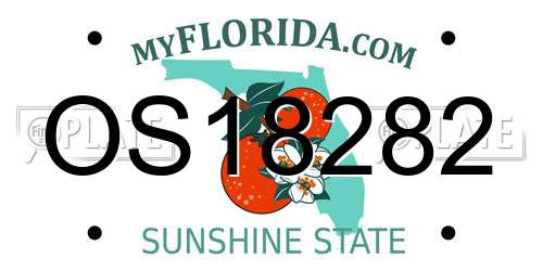 OS18282 Florida License Plate