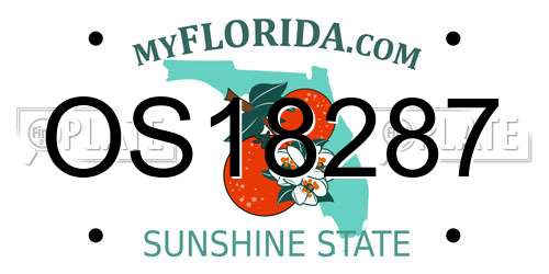 OS18287 Florida License Plate