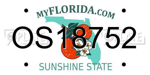 OS18752 Florida License Plate