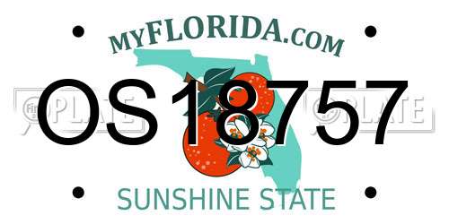 OS18757 Florida License Plate
