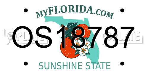OS18787 Florida License Plate