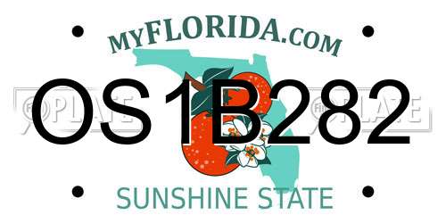 OS1B282 Florida License Plate