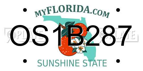 OS1B287 Florida License Plate