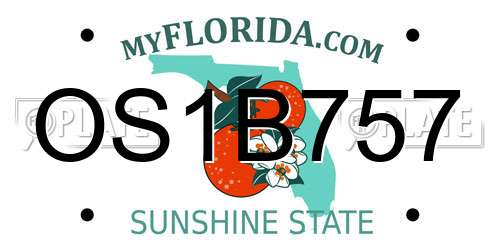 OS1B757 Florida License Plate